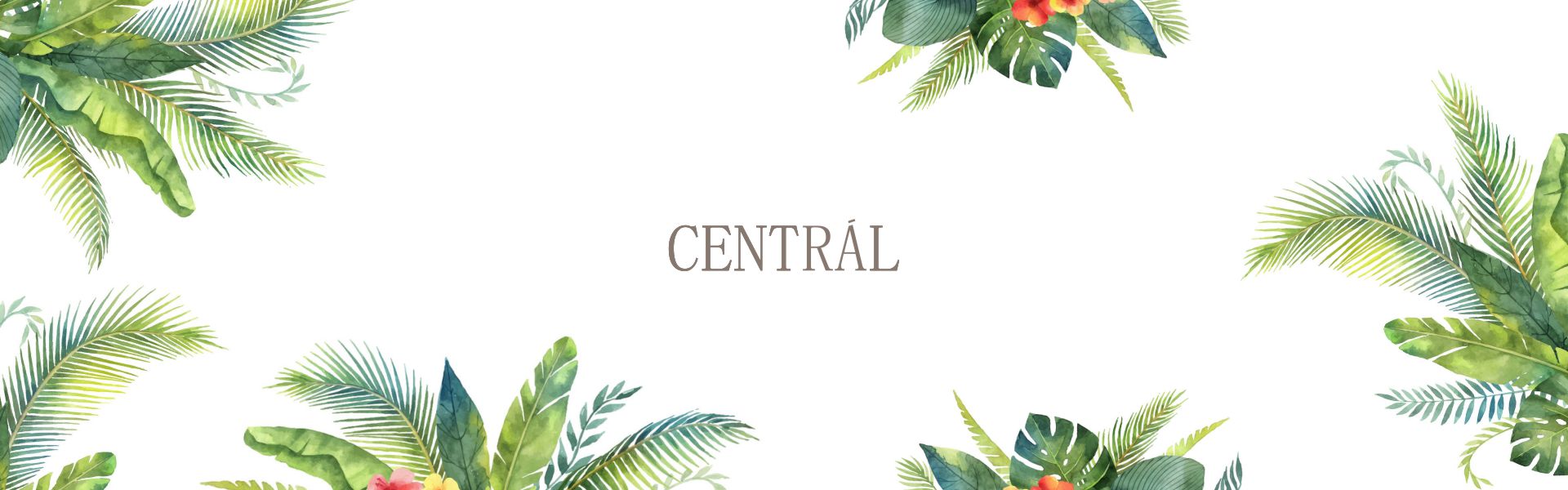 Central main img